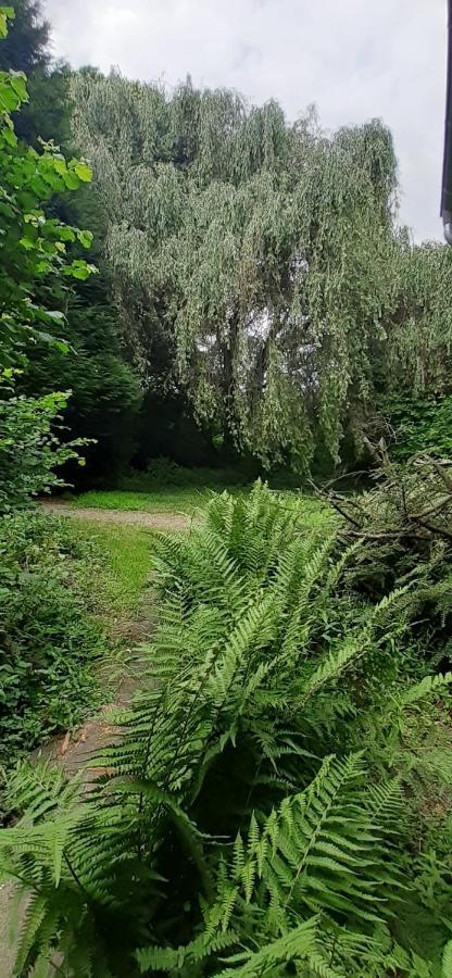 Fewo Im Naturschutzgebiet Hiddenhausen Exteriör bild