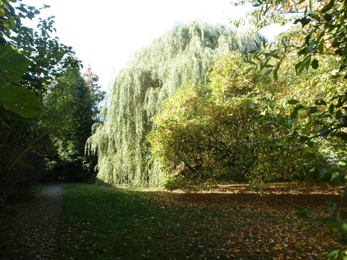Fewo Im Naturschutzgebiet Hiddenhausen Exteriör bild