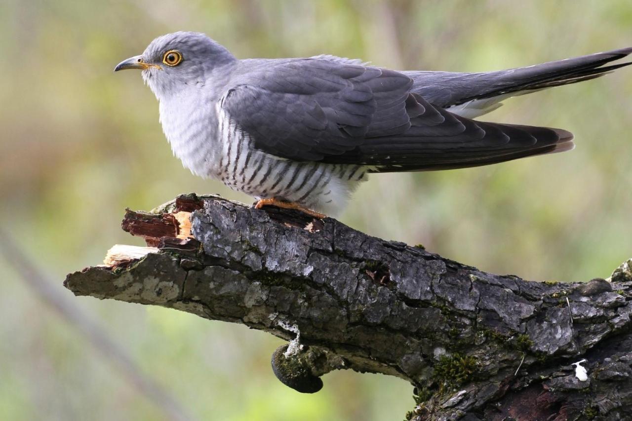 Fewo Im Naturschutzgebiet Hiddenhausen Exteriör bild