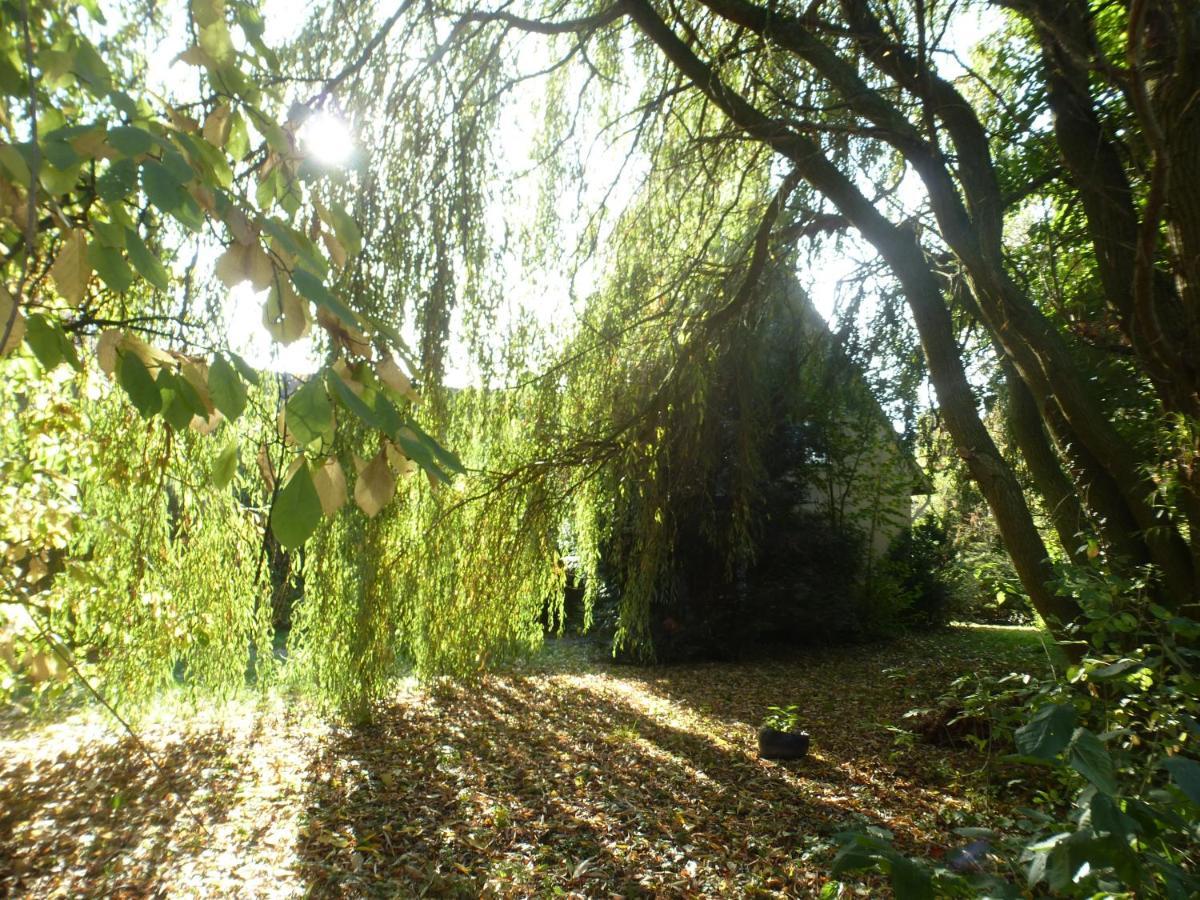 Fewo Im Naturschutzgebiet Hiddenhausen Exteriör bild