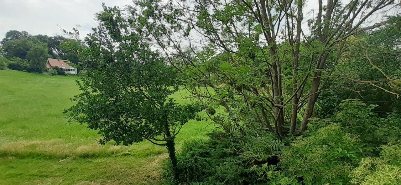 Fewo Im Naturschutzgebiet Hiddenhausen Exteriör bild